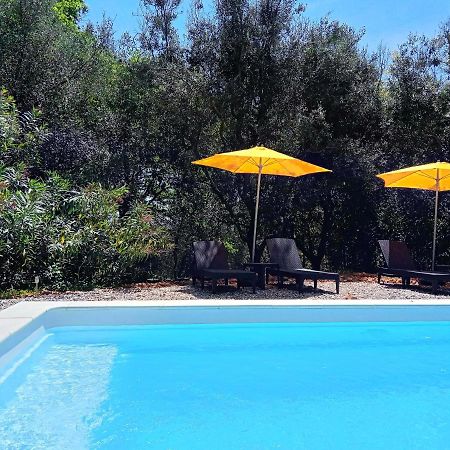 Chalet "Le Petit Olivier" Gites Appart 'Hotel L'Echappee Belle D'Aubenas Logement 2 Sur 3 Екстериор снимка